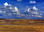 Scenic landscape of the ancient petrified forest