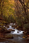 A small secluded cascade in the autumn forests of Virginia. Taken with a slow shutter speed to smooth and soften the water. The stream is framed with the colorful yellow leaves of autumn. One of many waterfalls in my collection.